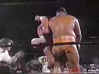 Don Muraco vs Sandman