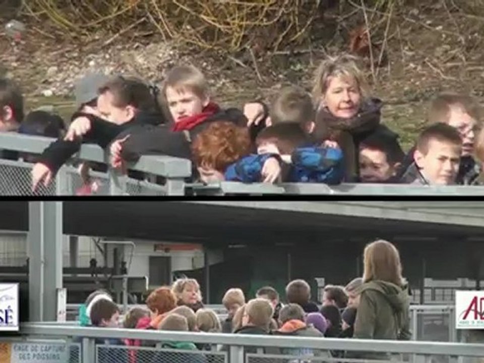 L'échelle à poissons de Lixhe Visé