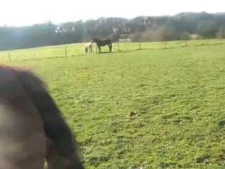 02.12.2012.e.integration.Laila