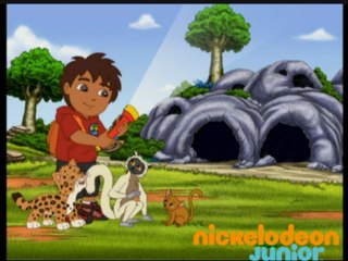 Les lémuriens - Go Diego