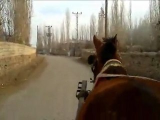 SULHETTİN ABİNİN AT ARABASI ÜSTÜNDE SEYEHAT:))