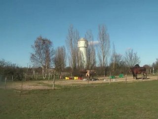 02.12.2012.n.integration.Laila