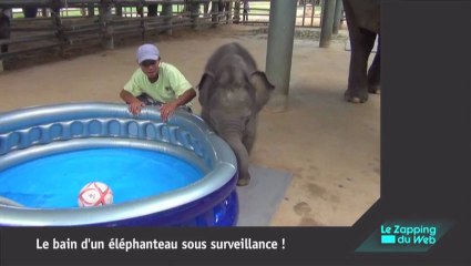 Une caméra filme le moment où un super-gagnant du Loto découvre qu'il remporte le pactole !