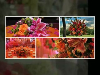 Event Planning Denver |  Denver Event Planner (303) 698-1151