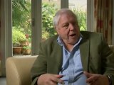 Attenborough 60 Years In The Wild Ep 2 HD