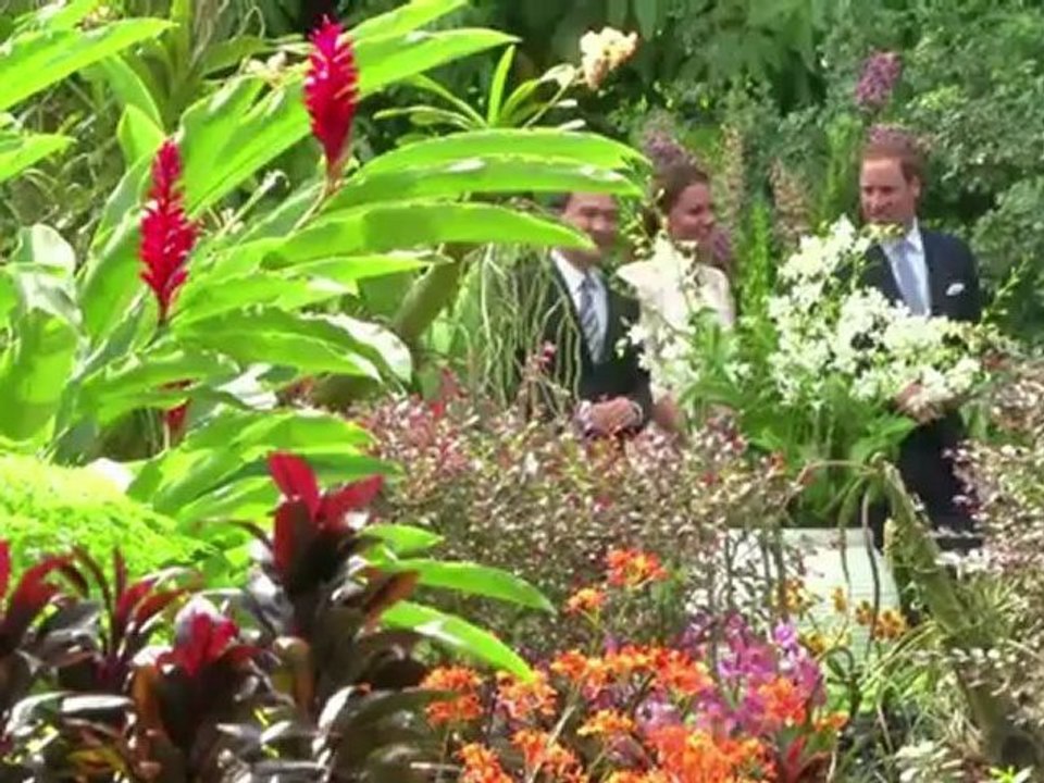 William und Kate erwarten Nachwuchs