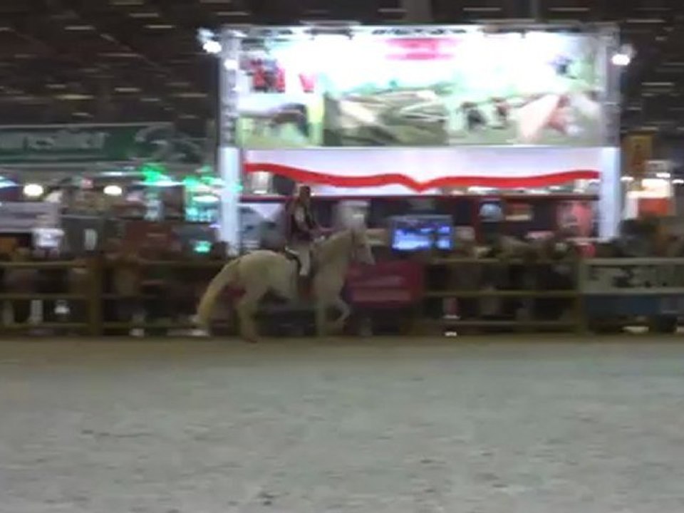 Siegfried des Balmes - etalon Barbe - Salon de Paris 2012