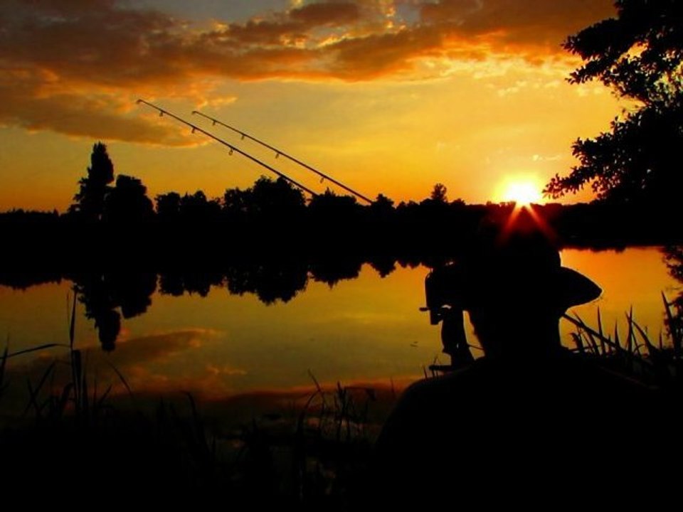 été 2012 partie 3  carpe