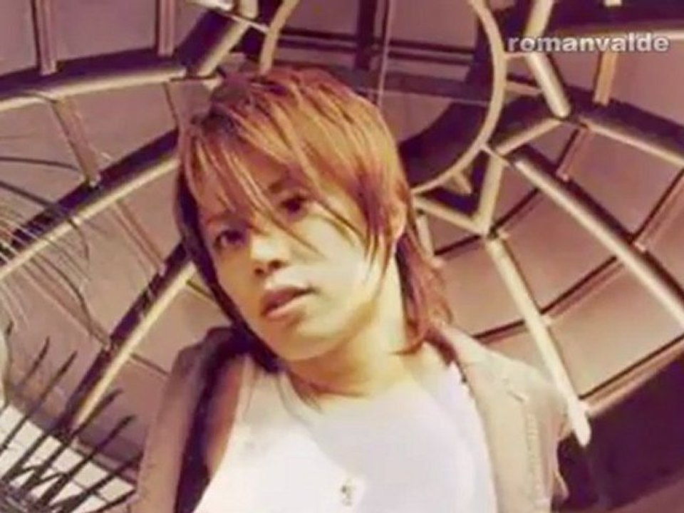 西川 贵 教 - Takanori Nishikawa (T.M. Revolution)