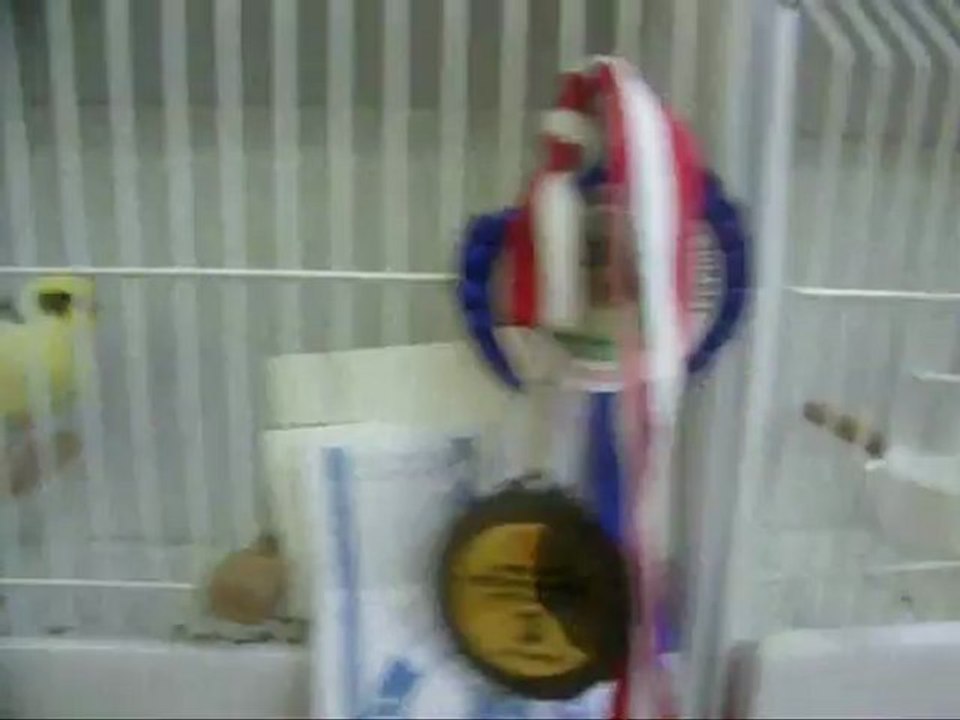 1-2 ARALIK 2012 GLOSTER KLÜP YARIŞMASI