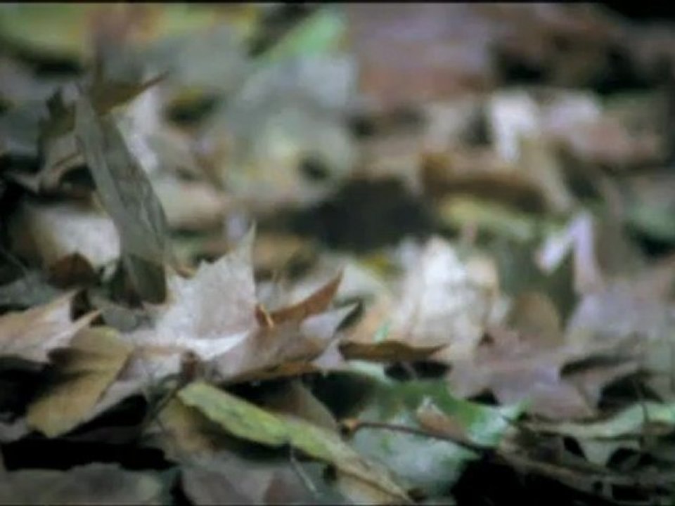 Nihan - Terk-i Diyar