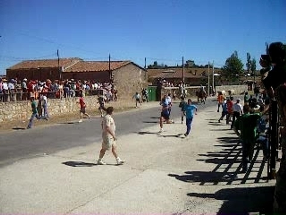 Encierro de fuenteguinaldo dia 2