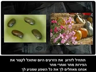 G1G4 - Give 1 Get 4 - תן 1 קבל  4 - הדרך האמיתית להכנסה באינטרנט
