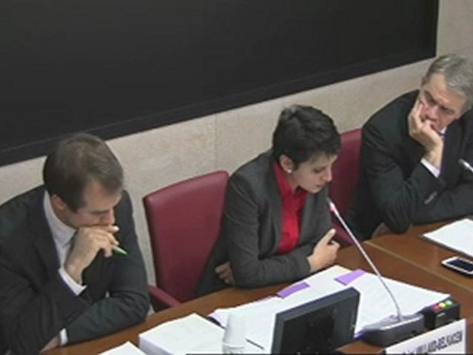 Audition devant la Commission des Aff. Culturelles de l'Assemblée Nationale