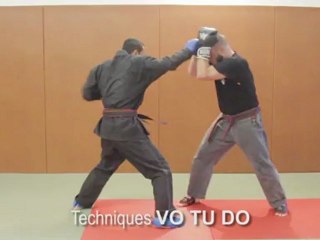 Technique de VO TU DO 1- boxe libre vietnamienne