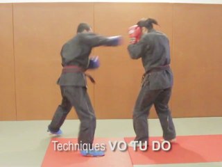 Technique de VO TU DO 2 - boxe libre vietnamienne