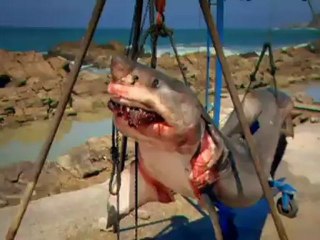 TV3 - Dimarts, a les 20.35 al l'E3 - "Entranyes bestials"