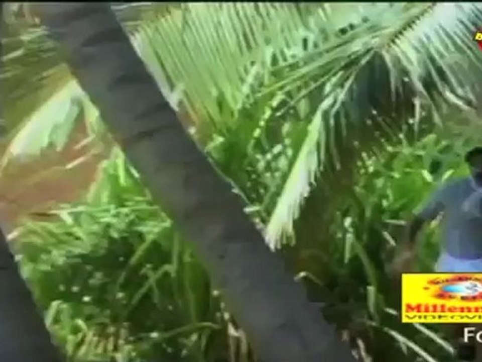 Hello My Dear Wrong Number: (Comedy Scene) Jagathy, Maniyanpilla Raju