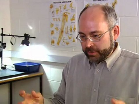 Discovery. Тайны катакомб Ватикана