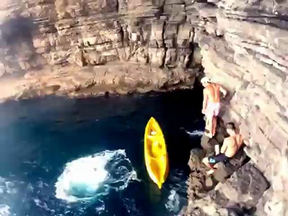 Vacs2012.480p