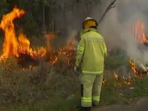 Australian heat wave sparks bushfires