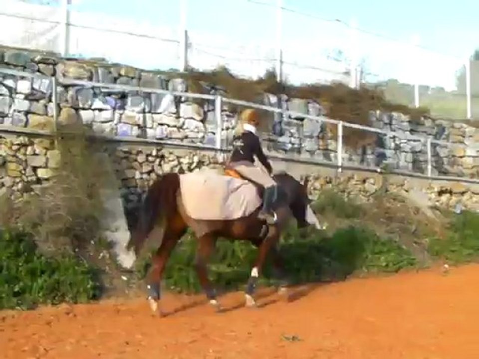 Cours dessage Laius
