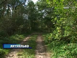 Актуально 03.12.2012