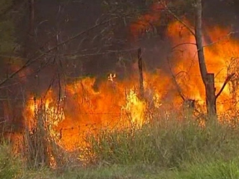Heatwave in eastern Australia sparks bushfires