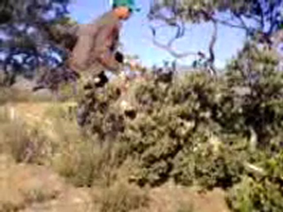 MOHAMED ELAOURFY-NICE TRIP4