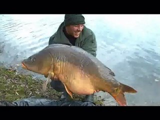 carpe de 21kgs etang de la pature a matougues 51510