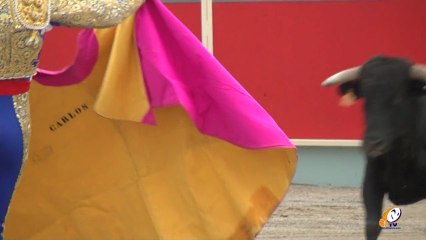 L'association "Carcassonne toros" a été chargée de l'organisation des corridas estivales à Carcassonne.
