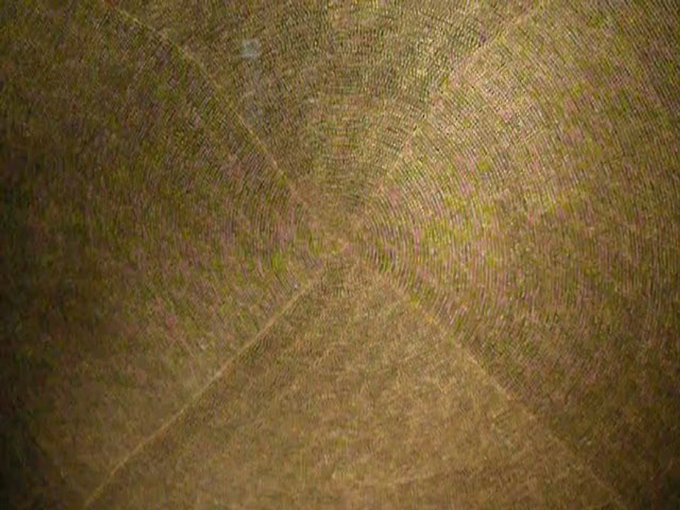 Our Favorite Australian Aboriginal Paintings