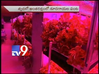 Top Stories - Inter National - 04-12-12