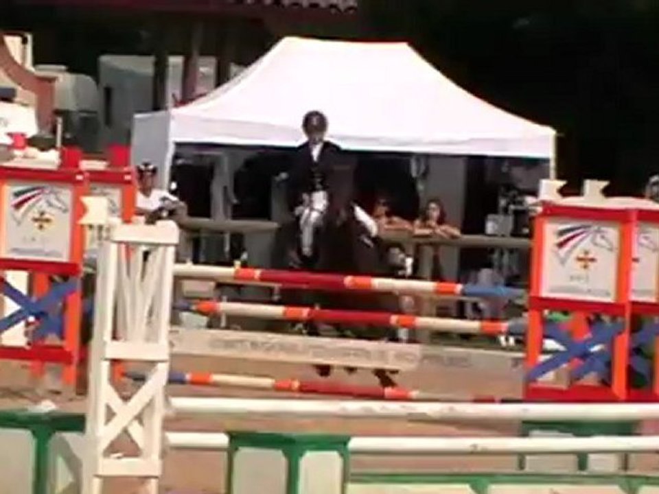 Palisandr GP 110 à Muret