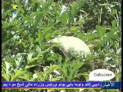 DABALAYE FRANçAIS DU MARDI 04 DECEMBRE 2012 SUR TOL