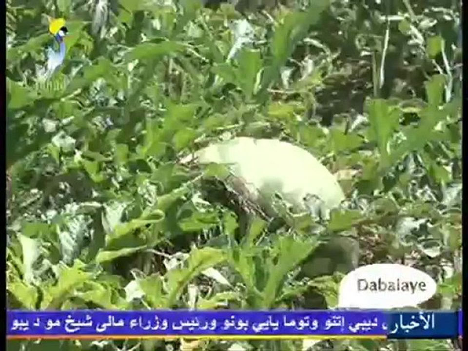 DABALAYE FRANçAIS DU MARDI 04 DECEMBRE 2012 SUR TOL