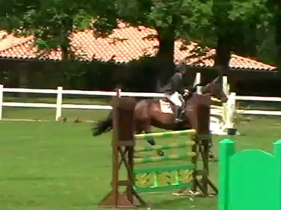 Palisandr Pitray GP 120