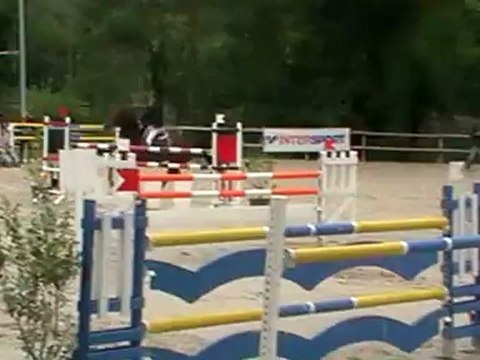 Palisandr Preignan GP 120