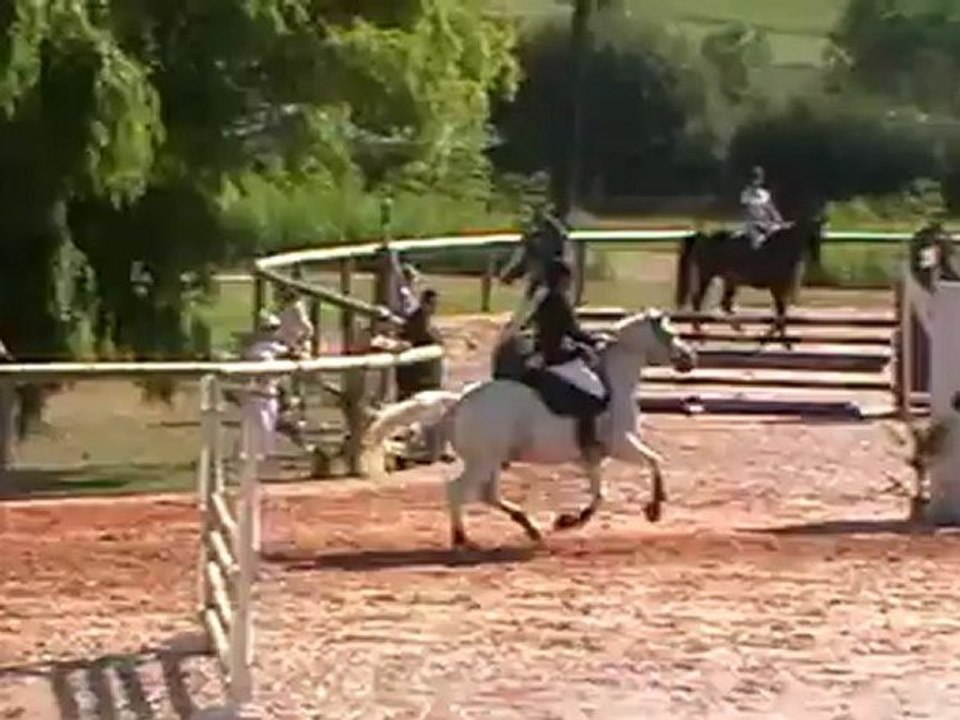 Lupin prépa 110 St Orens