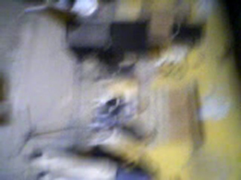 Ahmet Çatık-Doktor (Devam)