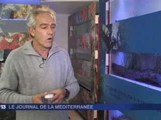 France 3 - Journal de la Méditerranée - Journal de la Méditerranée du 24/11/12