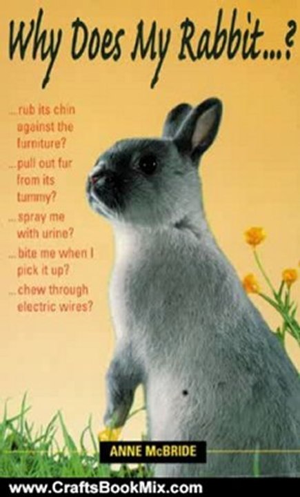 Crafts Book Review: Why Does My Rabbit . . . ? (Pet Care) by Anne McBride