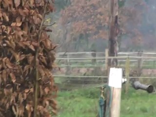 BALADE DU LYS AU SULKY