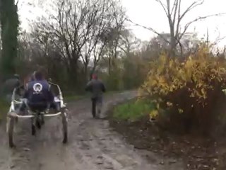 BALADE DU LYS PARTANT EN PISTE