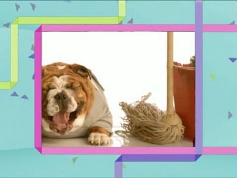 America's Cleaning Concepts Inc. - (704) 562-0081