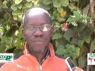 Ziguinchor.TV_Pas de PRISONNIERS de GUERRE en CASAMANCE