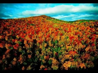 Rezolvare probleme virusi care fac sa apara altceva in loc de site-ul original