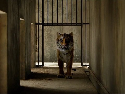 L’Odyssée de Pi - Ang Lee - Clip n°3 (HD)