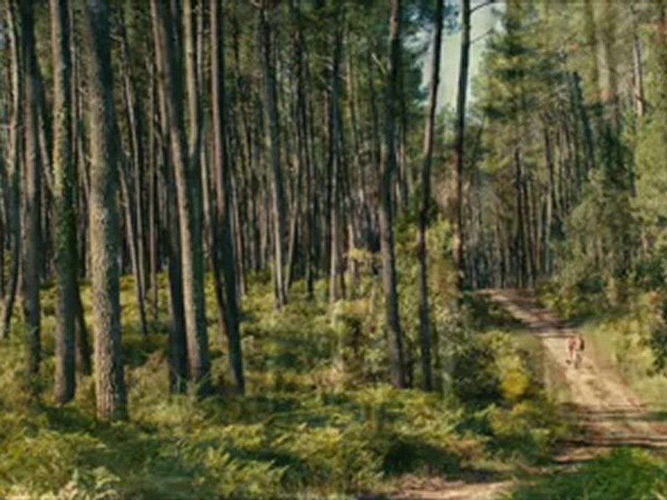 Thérèse Desqueyroux - VF - Bande-annonce