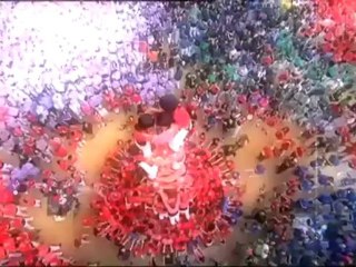 Castellers, pinya, força i manilles